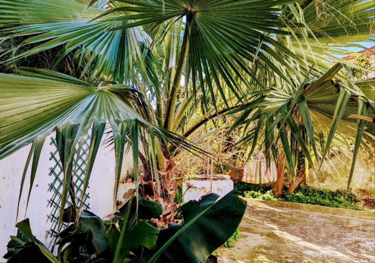 Cozy 3 Bedroom Home - Close To Beach Lourinhã Exterior foto